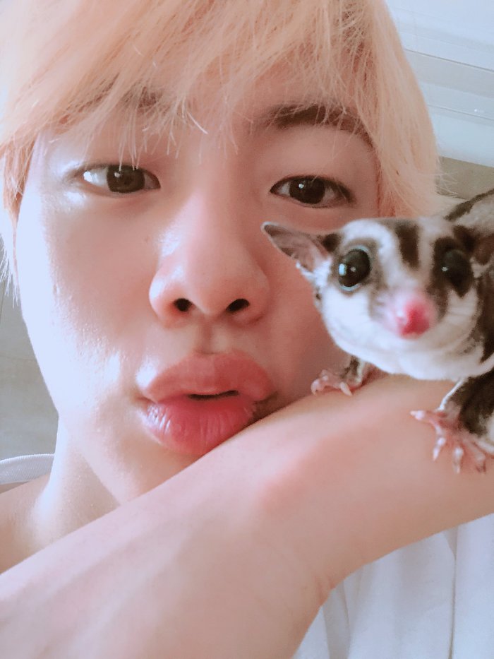 방탄소년단 진 애완동물 오뎅이 무지개다리건넌 사연
