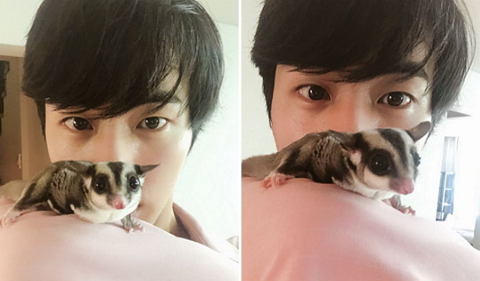 방탄소년단 진 애완동물 오뎅이 무지개다리건넌 사연