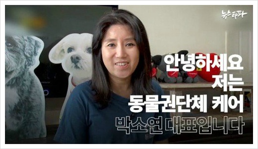 박소연 안락사 사죄