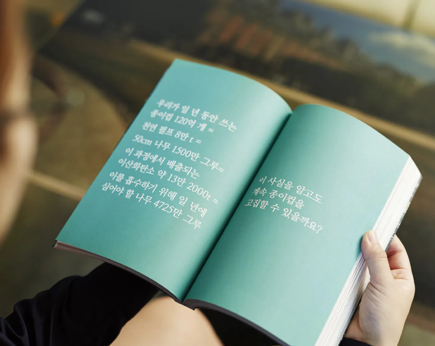 나눔고딕, 나눔명조 -서체 다운로드