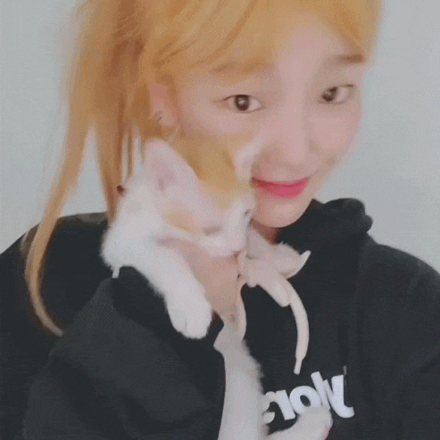 오마이걸 승희 논란 총정리 “탱크 스토킹 피해자 법적대응” 입장문(안진웅 걸그룹 멤버 디스곡 공개 논란 가사) 한남동 팬들 험담 송하영