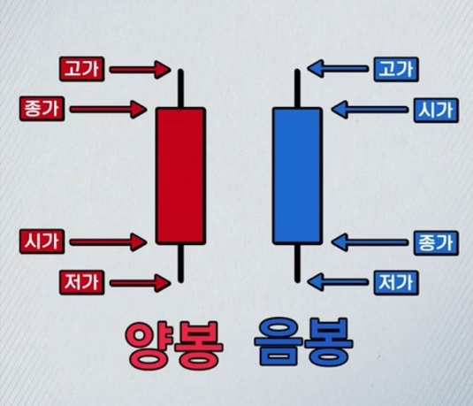 개미는 오늘도 뚠뚠 1,2 | 주린이 주식용어 총정리