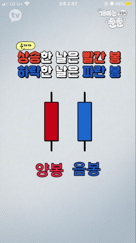 주식용어정리 이동평균선 거래량 차트 _ 개미는 오늘도 뚠뚠