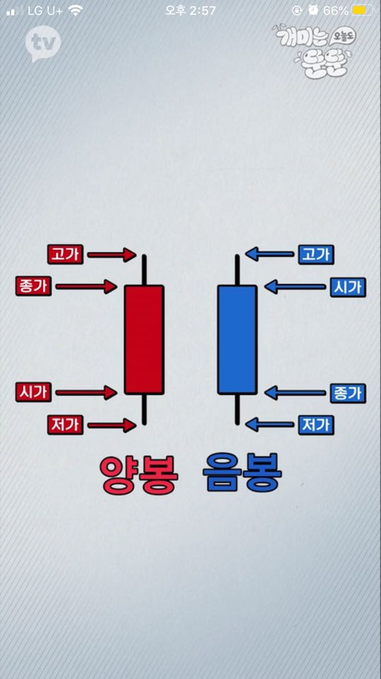 주식용어정리 이동평균선 거래량 차트 _ 개미는 오늘도 뚠뚠