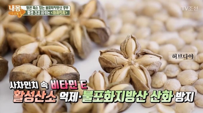 사차인치 효능과 부작용