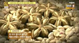 사차인치 효능과 부작용