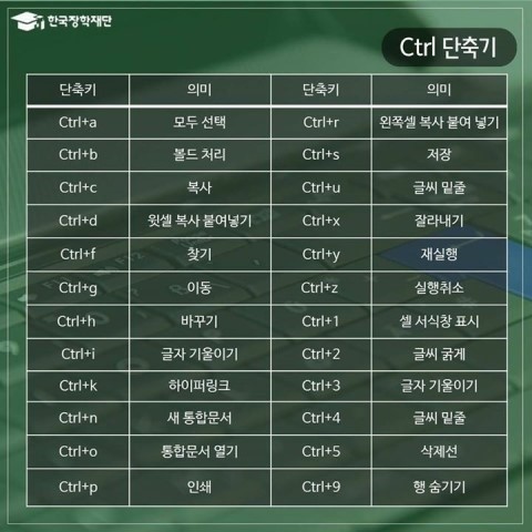 취업하면 유용한 엑셀 단축키