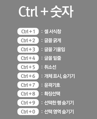 엑셀 단축키 마스터!