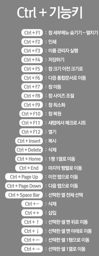 엑셀 단축키 마스터!