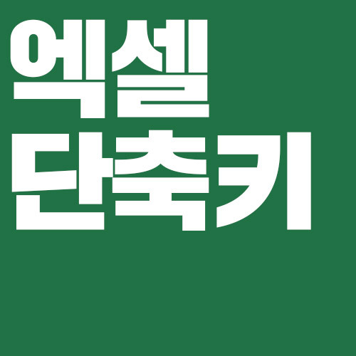 엑셀 단축키 인쇄