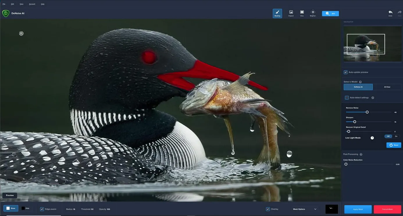 Topaz DeNoise AI 3.5.0 (x64) 토파즈 디노이즈 다운로드