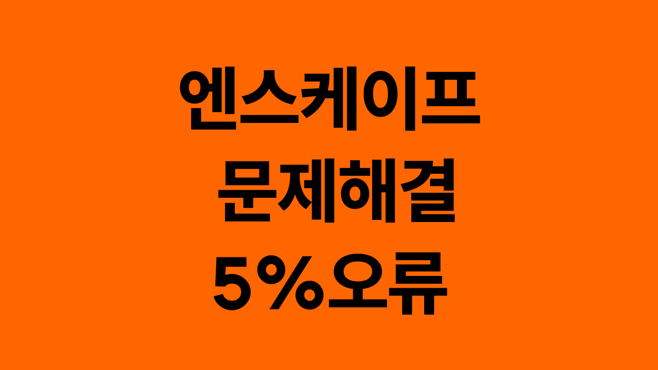 엔스케이프 문제해결 - 5%오류